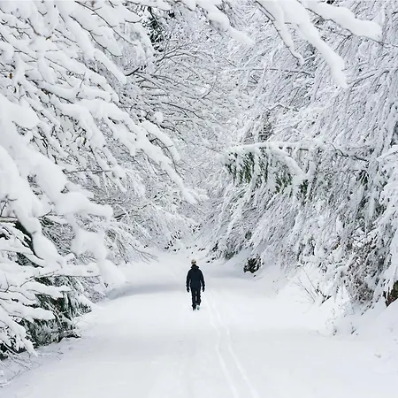 Appartement Suenos Del Garmo By Bevalle *