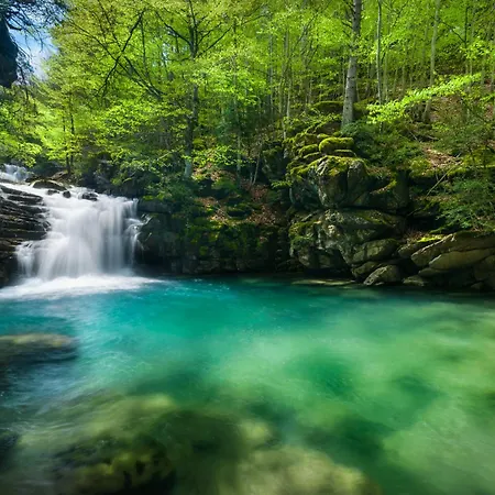 Suenos Del Garmo By Bevalle *