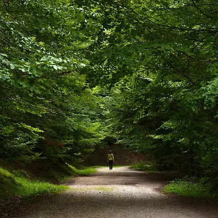 Suenos Del Garmo By Bevalle Apartment *