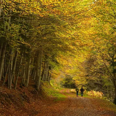 Suenos Del Garmo By Bevalle Apartment