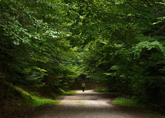 Suenos Del Garmo By Bevalle Apartment *